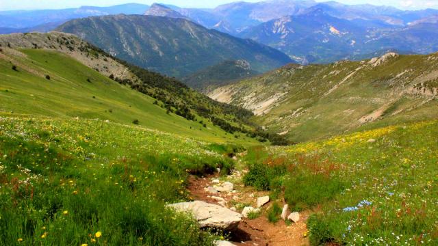 Verdon Le Teillon (7) Stefano Blanc