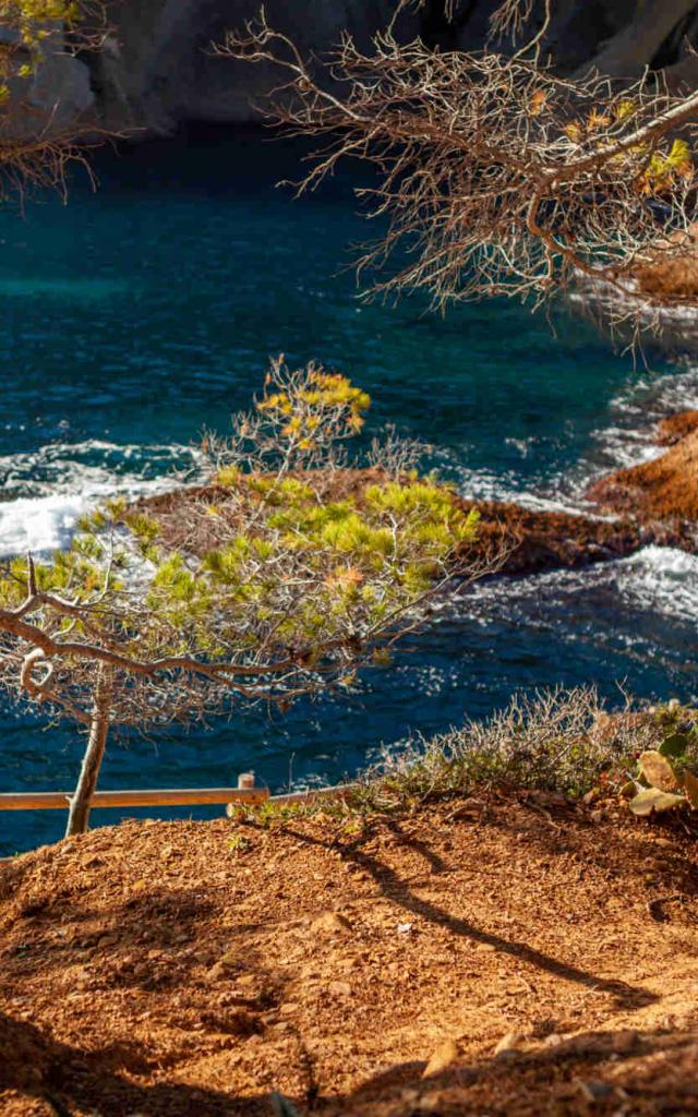 Calanques Mugel La Ciotat Luparini.c