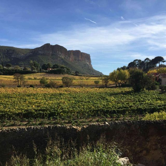 Calanques Vignoble Casss Cap Canaille Diduca.m