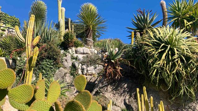 Jardin exotique d'Eze