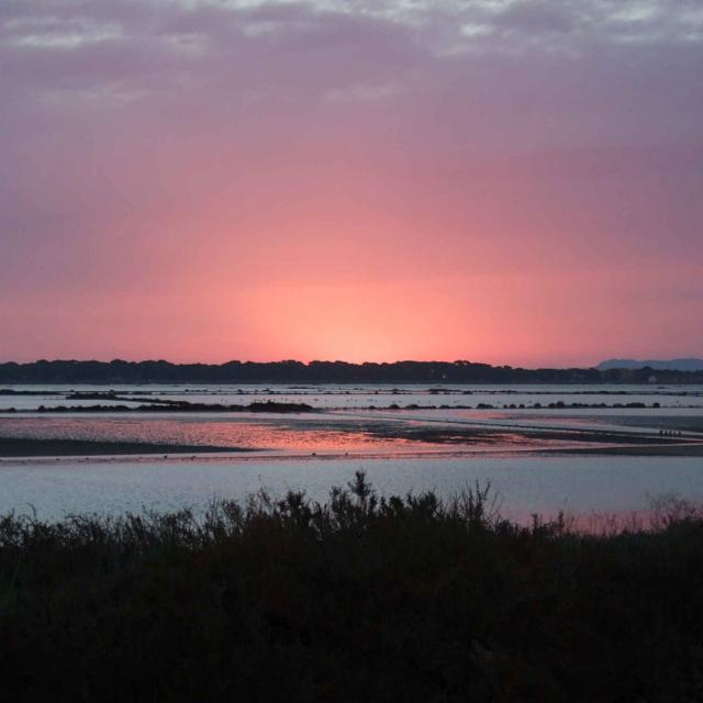 Salins Pesquiers Christel Gérardin