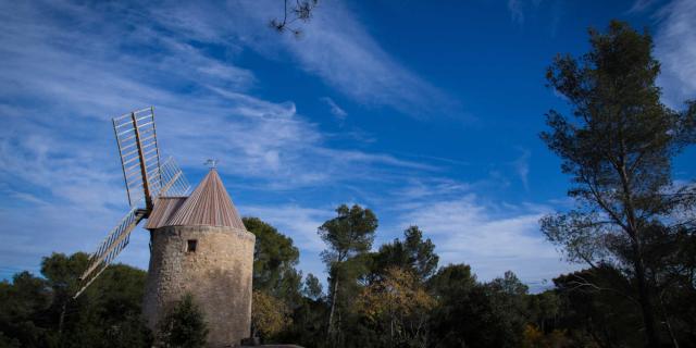 Moulin Fontvieille Provence Vboris