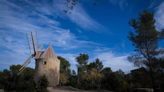 Moulin Fontvieille Provence Vboris