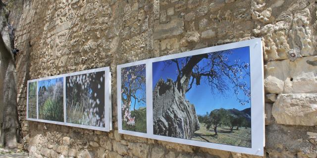 Rue Les Baux De Provence Provence