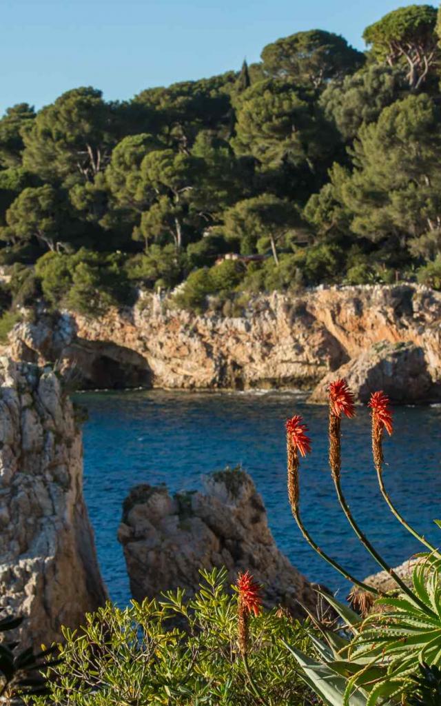 sentier-littoral-cap-antibes-juan-les-pins.jpg