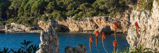 Sentier Littoral Cap Antibes Juan Les Pins