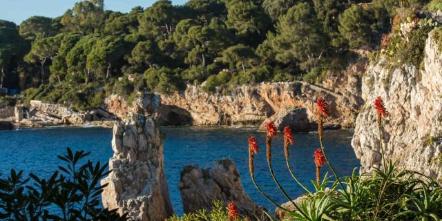 Sentier Littoral Cap Antibes Juan Les Pins