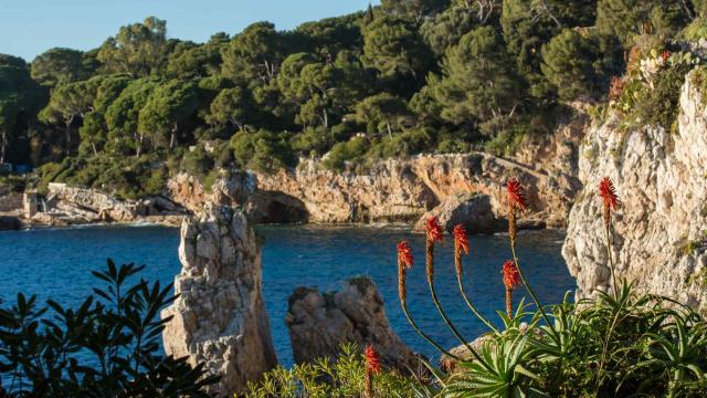 Sentier Littoral Cap Antibes Juan Les Pins