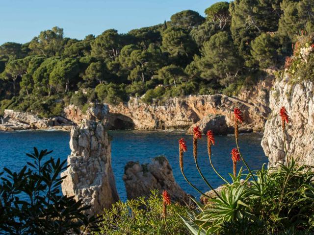 Sentier Littoral Cap Antibes Juan Les Pins