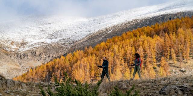 Randonneurs-automne-haut-verdon-Van-RijnR.jpg