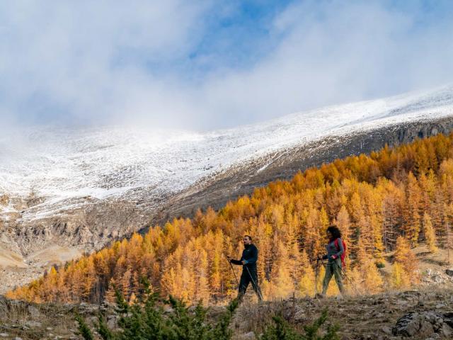 Randonneurs-automne-haut-verdon-Van-RijnR.jpg