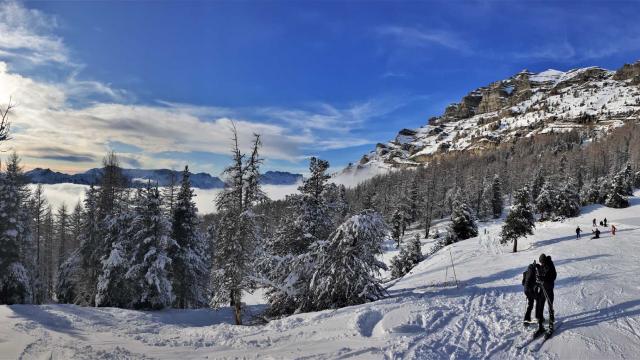 Neige Hiver Alpes Du Sud