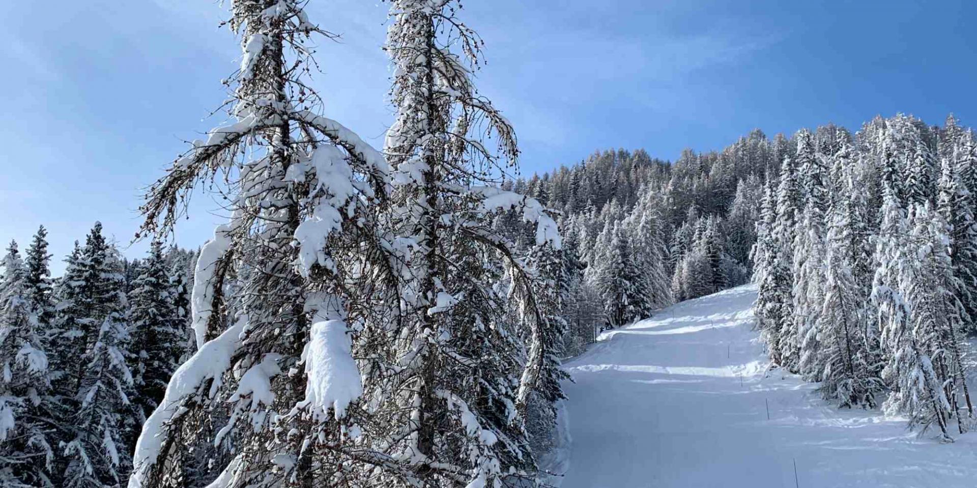 Neige à la montagne Alpes du Sud