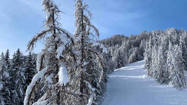 Neige à la montagne Alpes du Sud