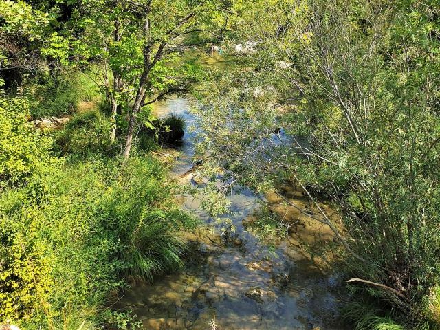 nature-gorges-caramy-var-J.Auray_.jpg