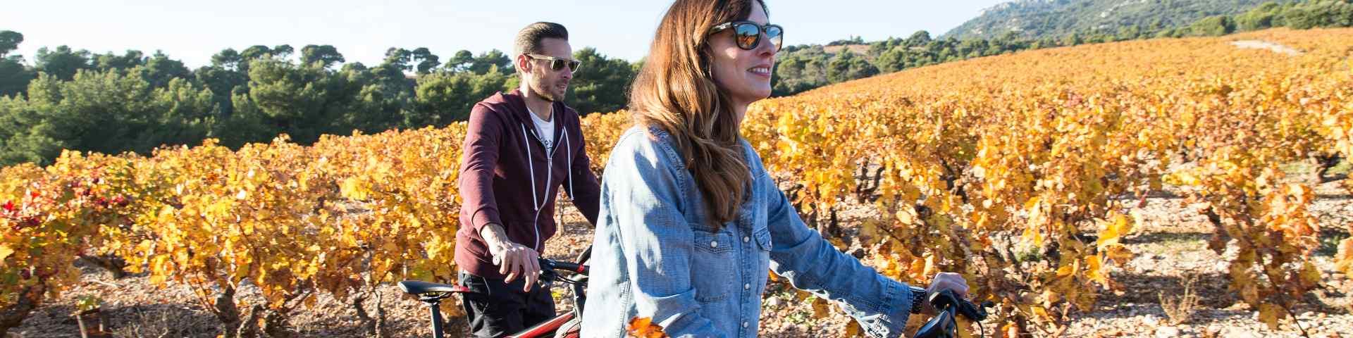 Balade à vélo, Vallée Du Rhône Mont Ventoux