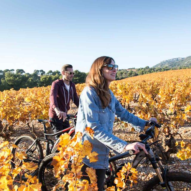 Balade à vélo, Vallée Du Rhône Mont Ventoux