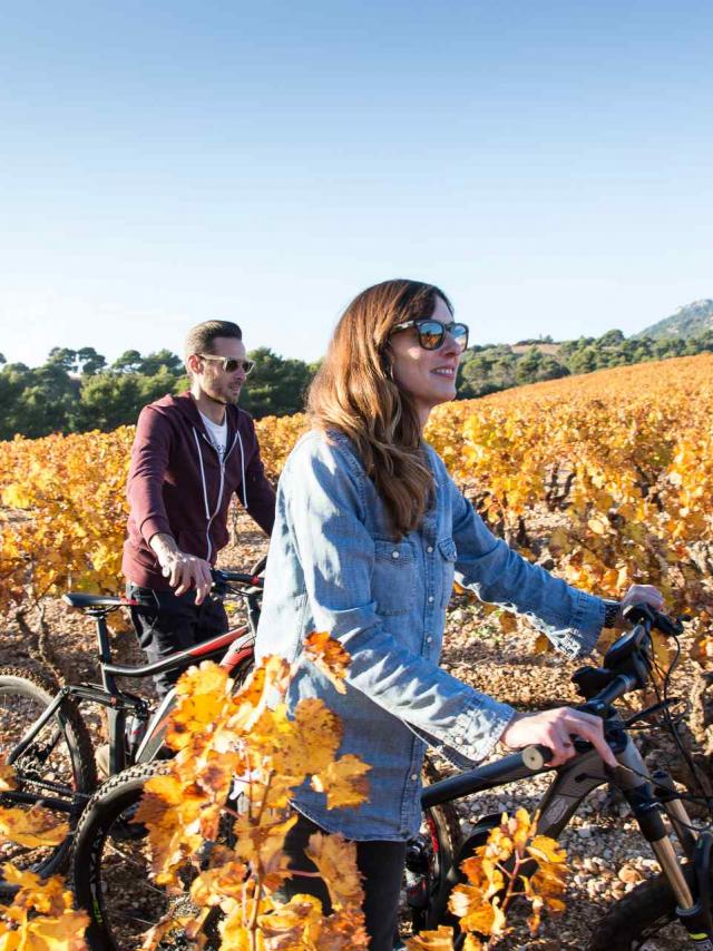 velo-vallee-du-rhone-Mont-Ventoux-TSeray.jpg