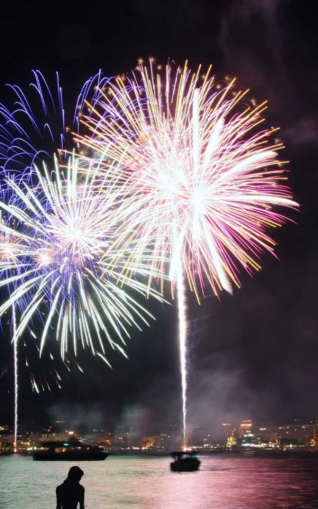 Feux Artifice Niccolo Ornati Unsplash