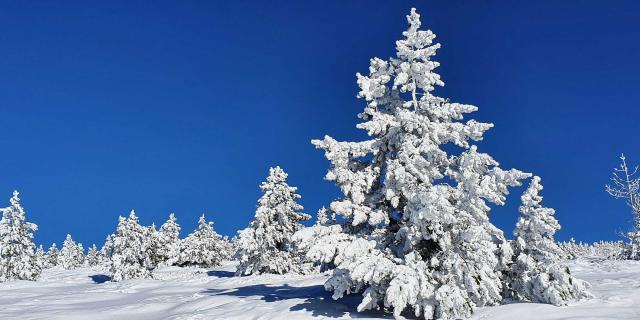 neige-mont-ventoux-OLaverie.jpg