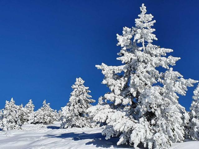 neige-mont-ventoux-OLaverie.jpg