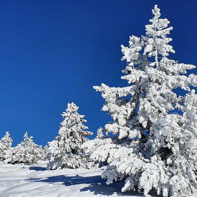 neige-mont-ventoux-OLaverie.jpg