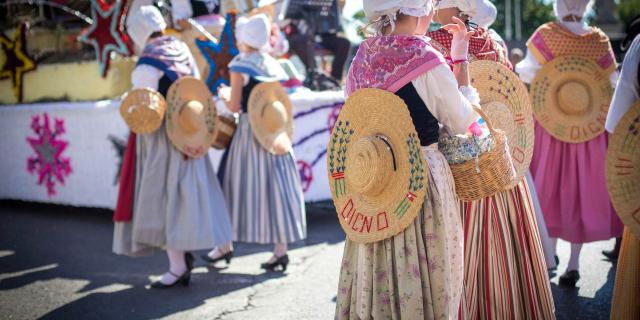 Corso-de-la-lavande-a-Dignes-les-Bains-BoutinM.jpg