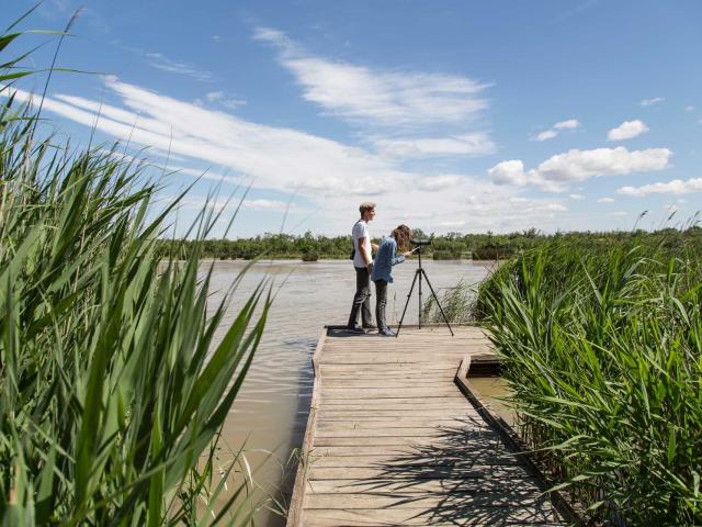 Mairais-du-Vigueirat-Camargue-SerayT.jpg