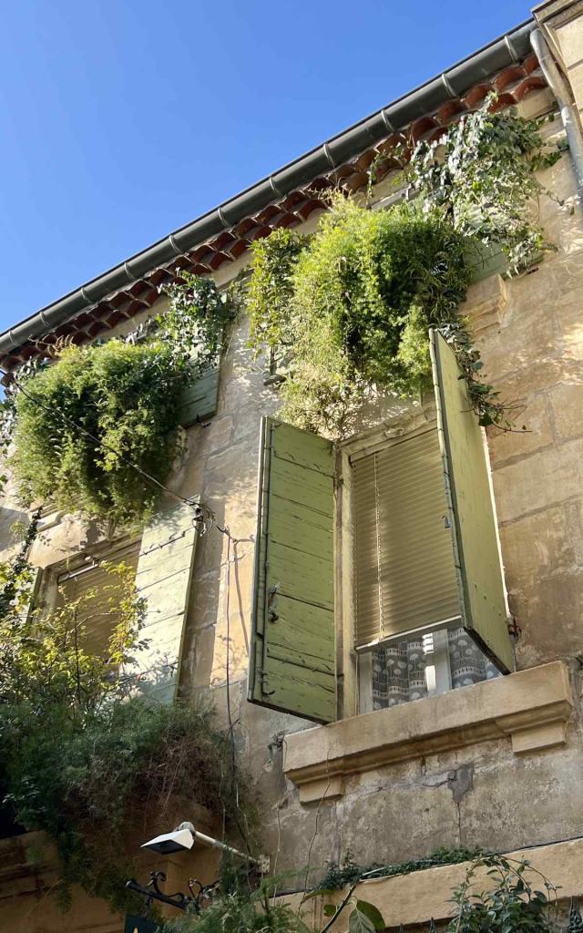 facade-quartier-de-la-roquette-Arles-ACelindano.jpg