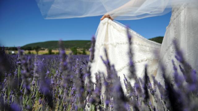 Mariage Lavandes à Lurs