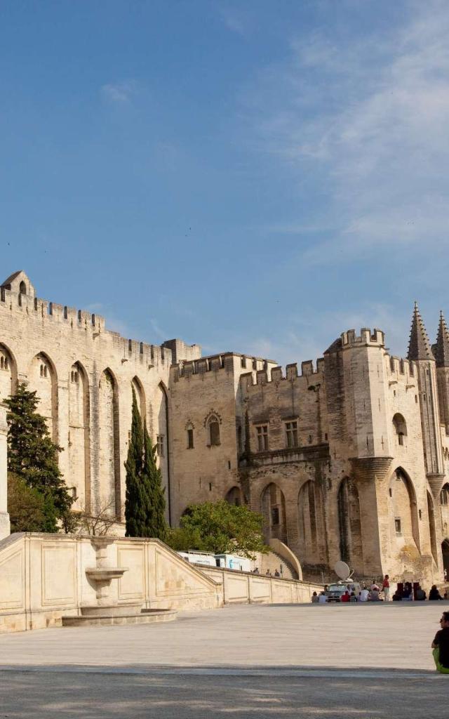 Palais-des-papes-Avignon-De-Fareins.Y.jpg