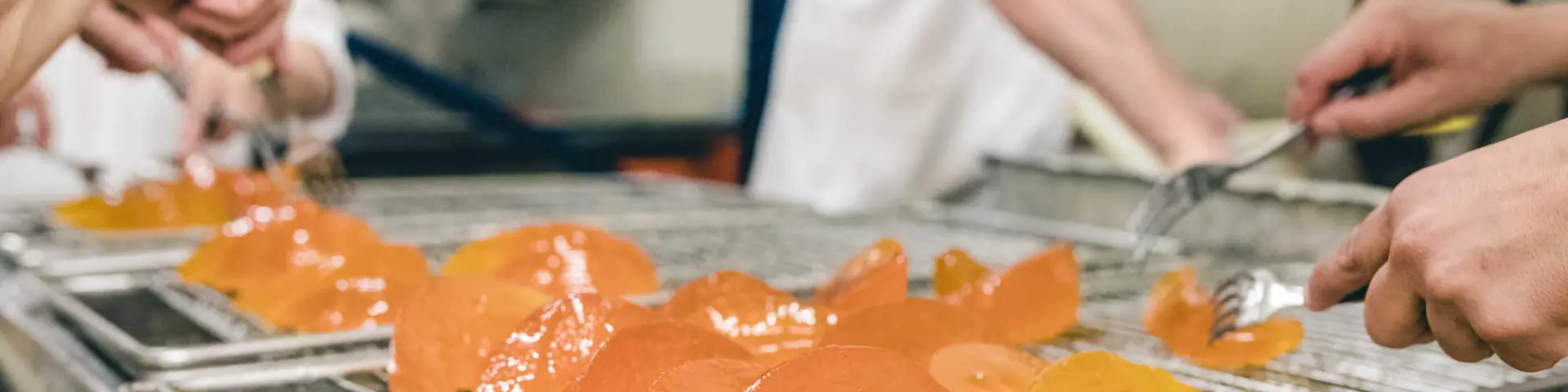 Durable Visite Entreprise O'brien