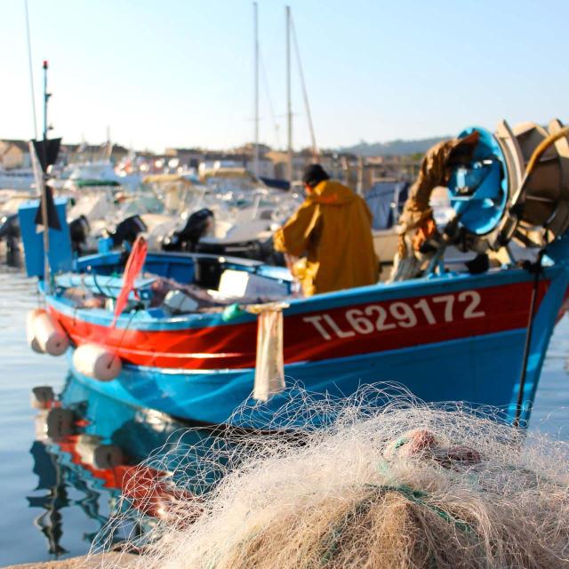 Pêcheurs Saint Tropez