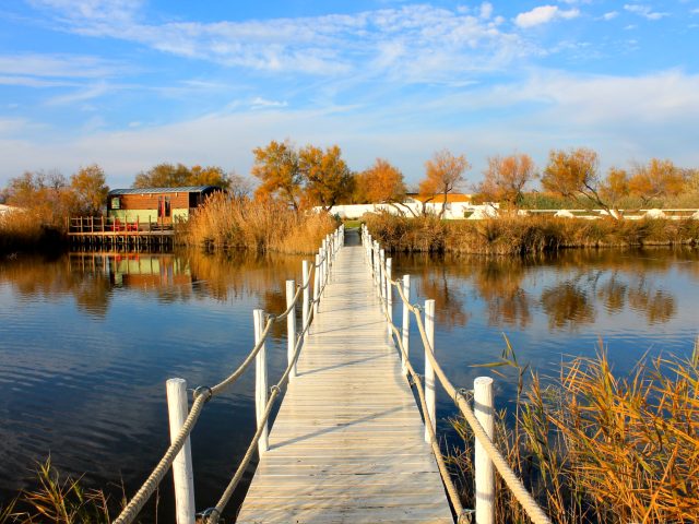 Parc Naturel Régional de Camargue