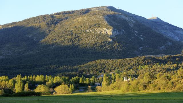 France, Var (83), Dracenie, La Roque Esclapon