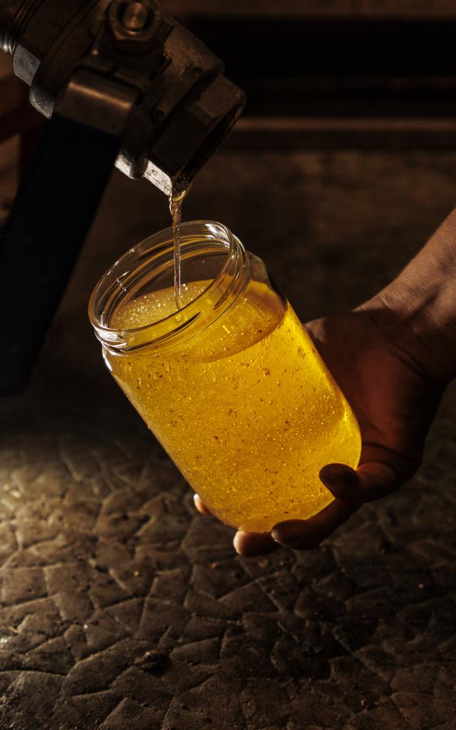 Production de miel de lavande BIO et IGP Provence sur le Plateau de Valensole. Nadège Bonnano, apicultrice, remplit un pot de miel non filtré (on y distingue des fragments de cire issus de la phase de désoperculage manuel des cadres de rûche au couteau.