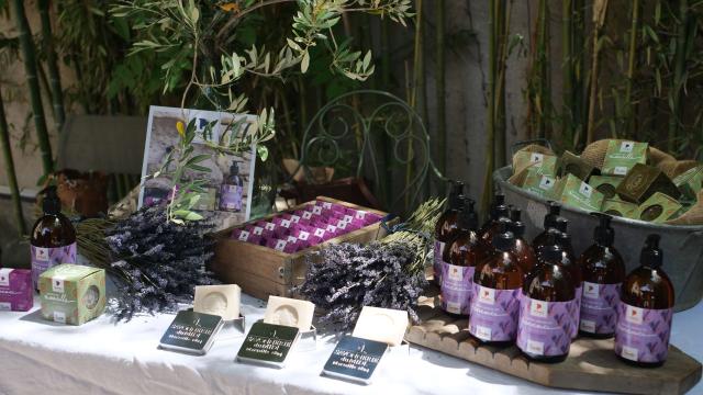 La Corvette Collection Provence Cgensollen