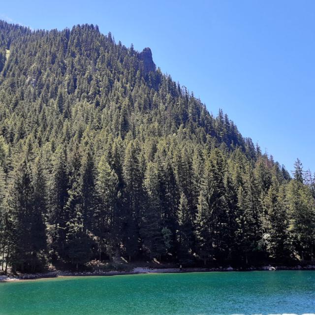 Lac Boreon