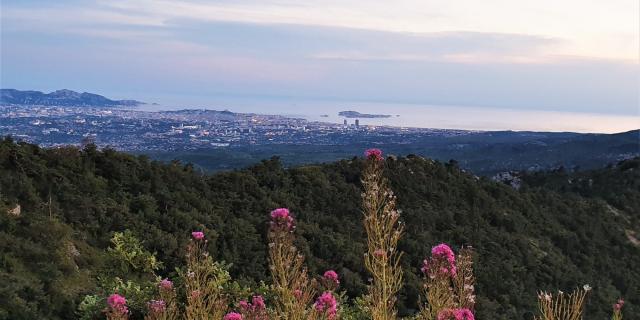 Massif de l'Etoile