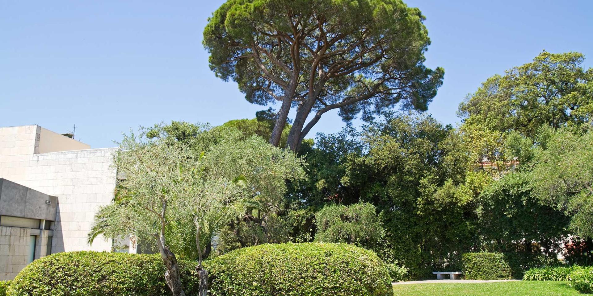 Musée Marc Chagall Nice