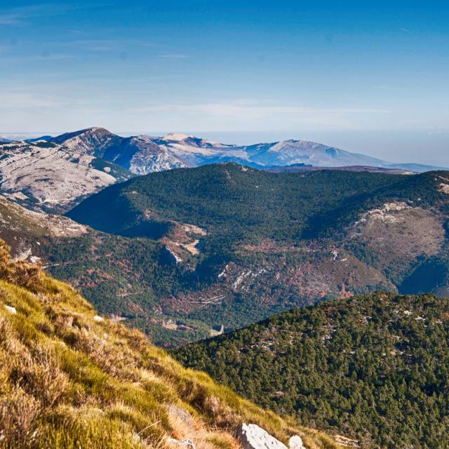 Mont Lachens (Var)