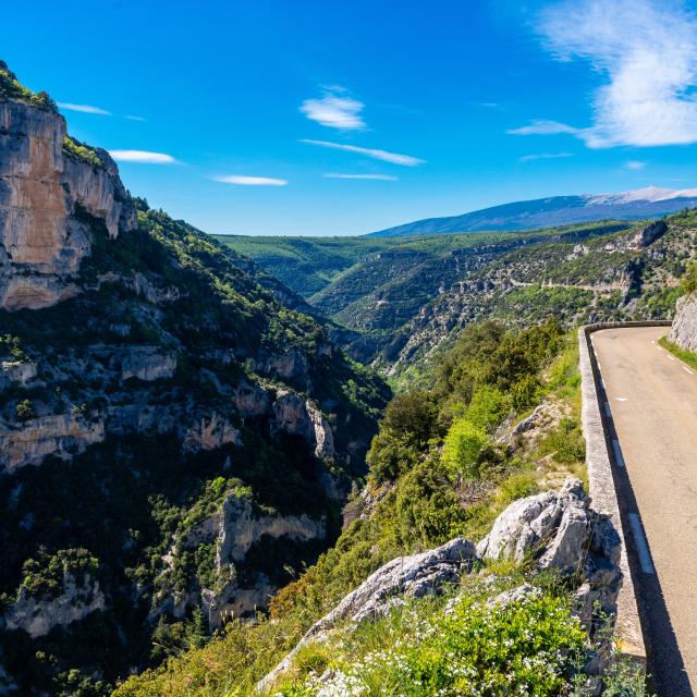 Gorges de la Nesque