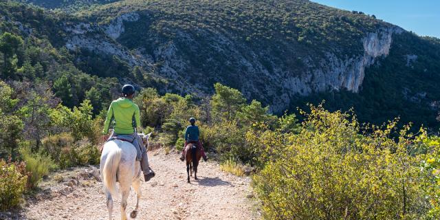 Balade A Cheval Saint Jurs En Automne