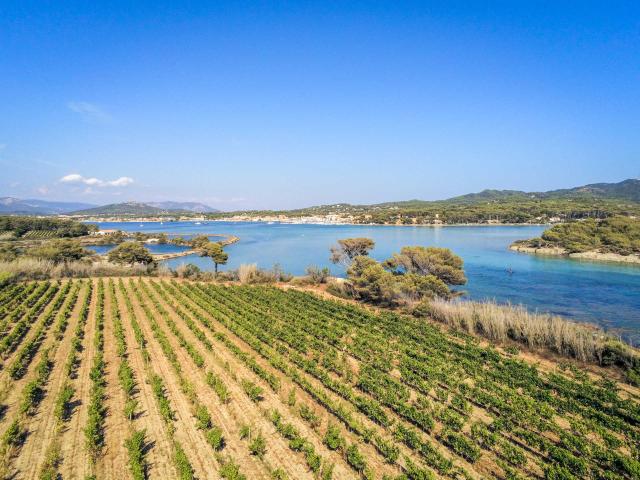 vue aérienne vignes ile des Embiez var Provence