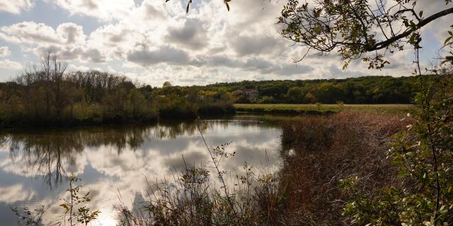 Parc de Vaugrenier