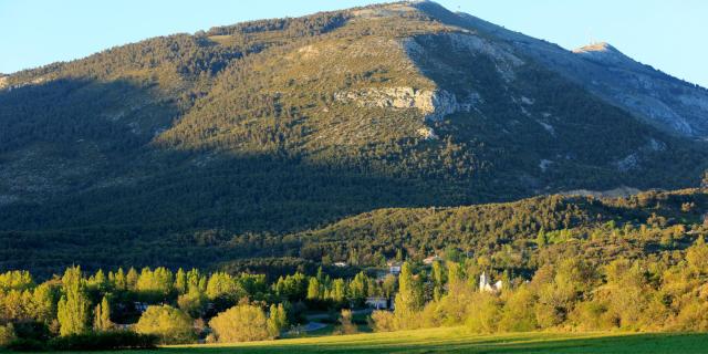 France, Var (83), Dracenie, La Roque Esclapon