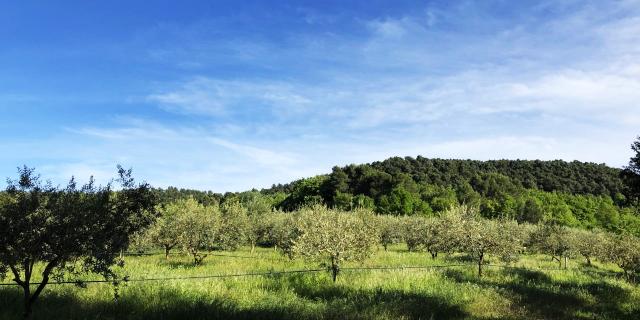 Cadenet Moulin Laval