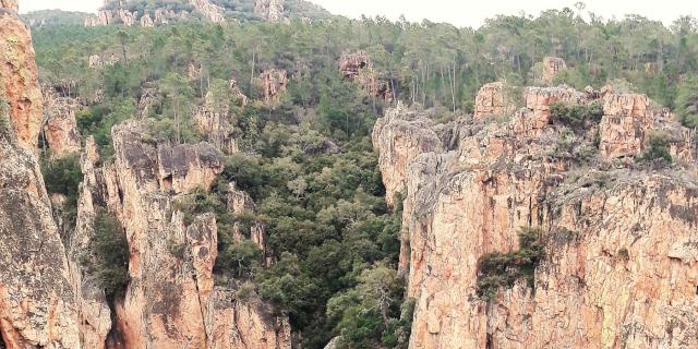 Gorges du Blavet. Crédit Photo : Dallaporta A.