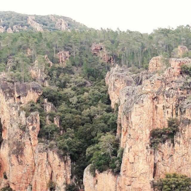 Gorges Blavet. Crédit photo : Dallaporta A.