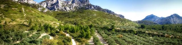 Massif Des Alpilles. Crédit : Mouton.A